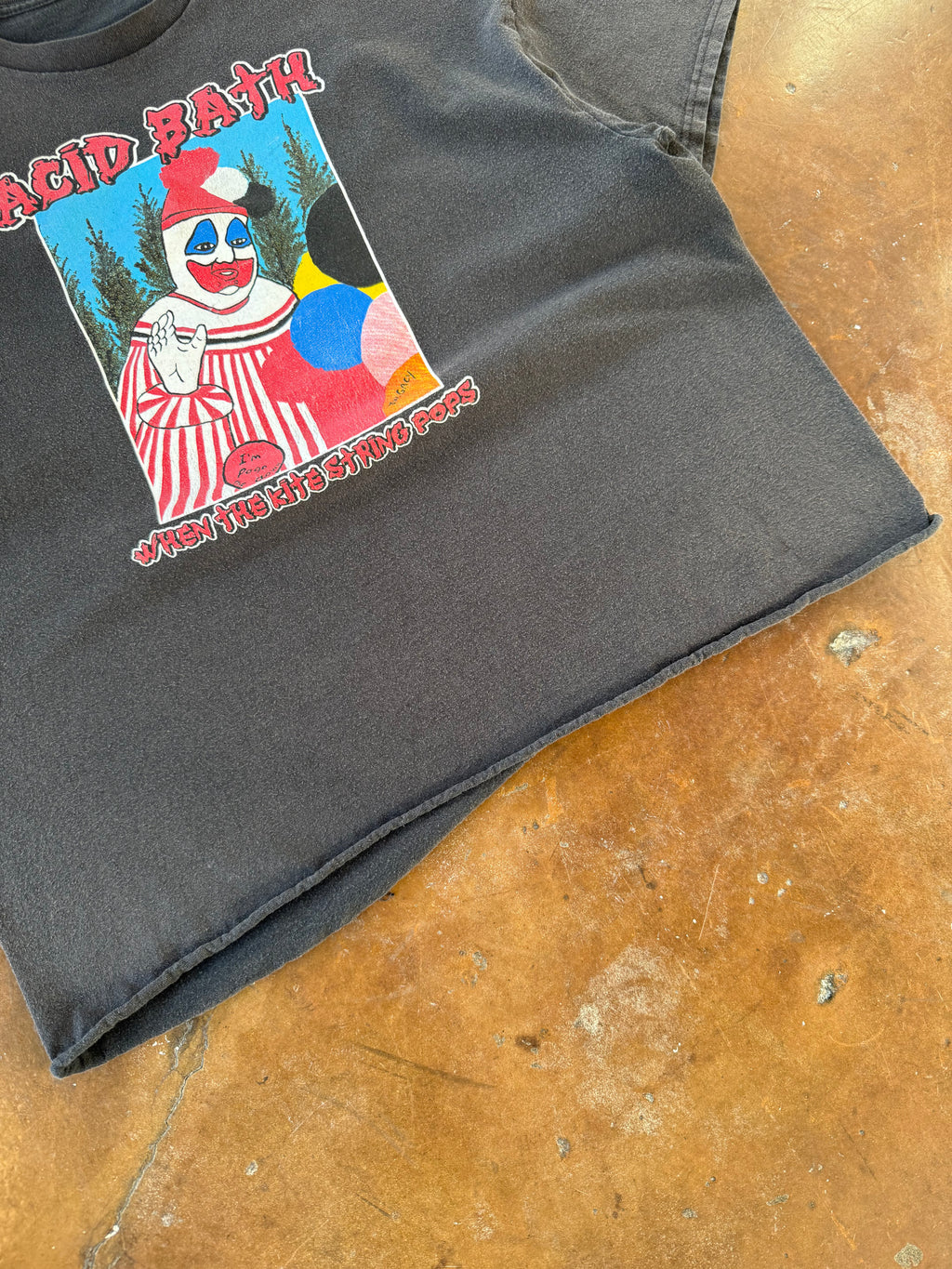 2000s cropped Acid Bath "when the kite string pops" band shirt (XXL)