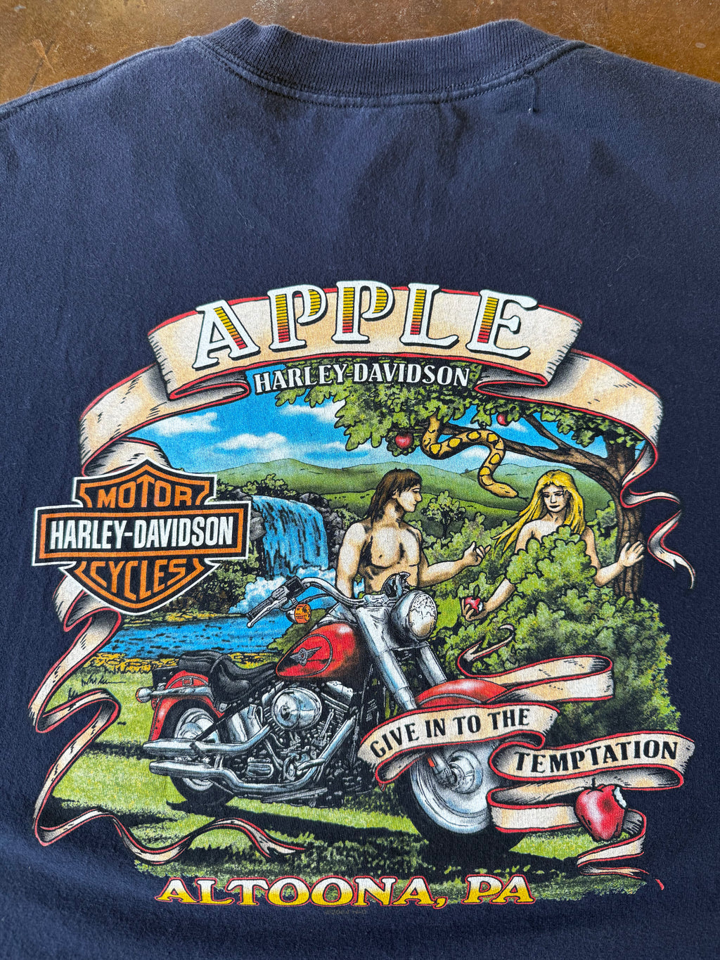 2004 Harley Davidson "flaming skull" biker longsleeve shirt (LARGE)