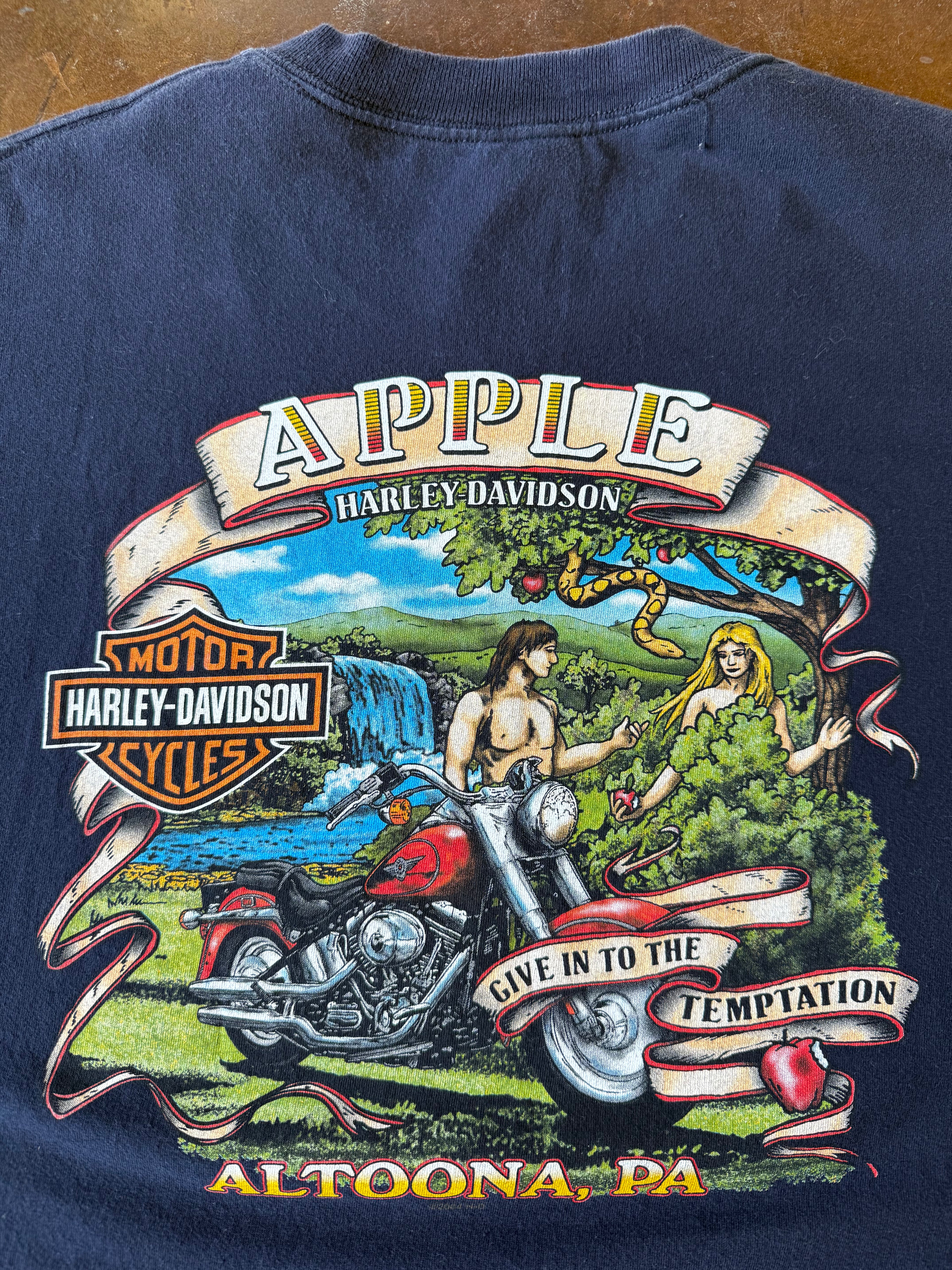 2004 Harley Davidson "flaming skull" biker longsleeve shirt (LARGE)