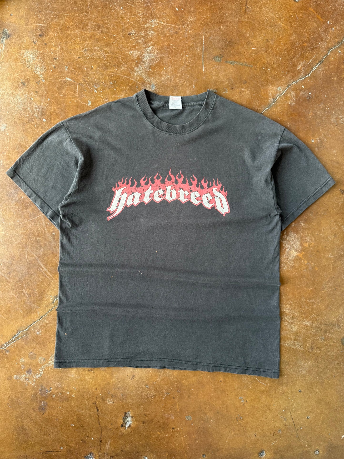2000s Hatebreed "take your life back" band shirt (LARGE)