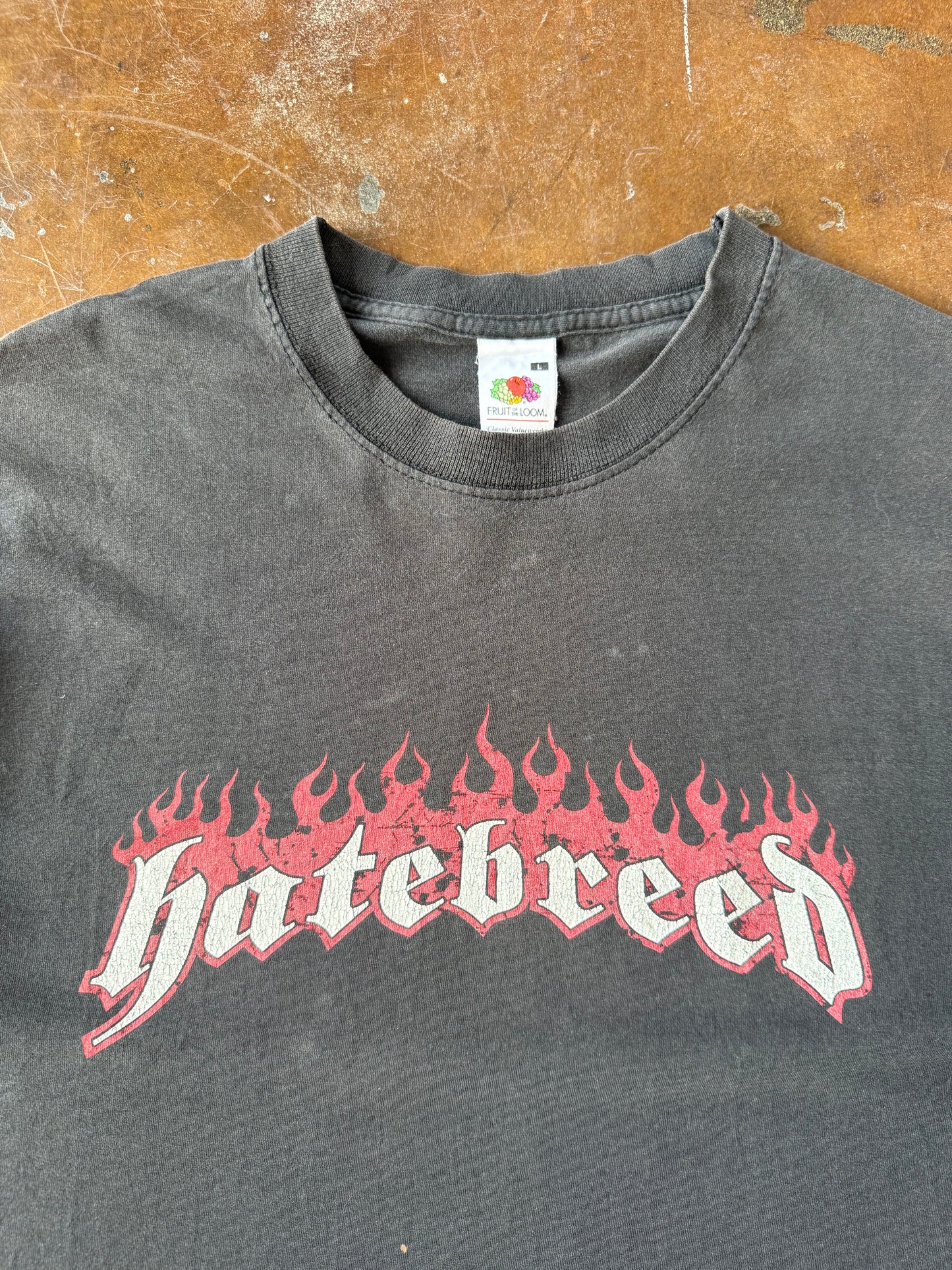 2000s Hatebreed "take your life back" band shirt (LARGE)