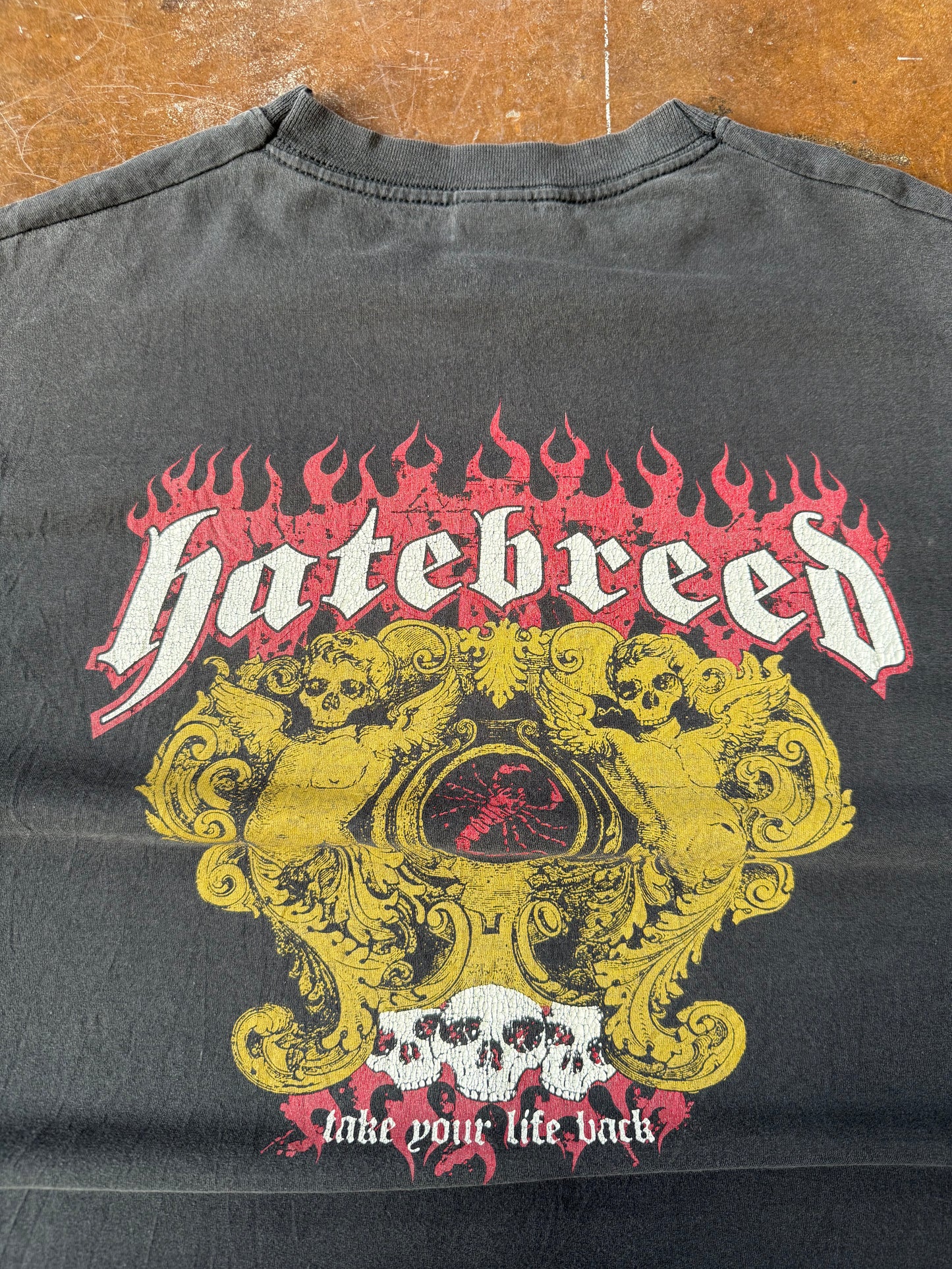 2000s Hatebreed "take your life back" band shirt (LARGE)