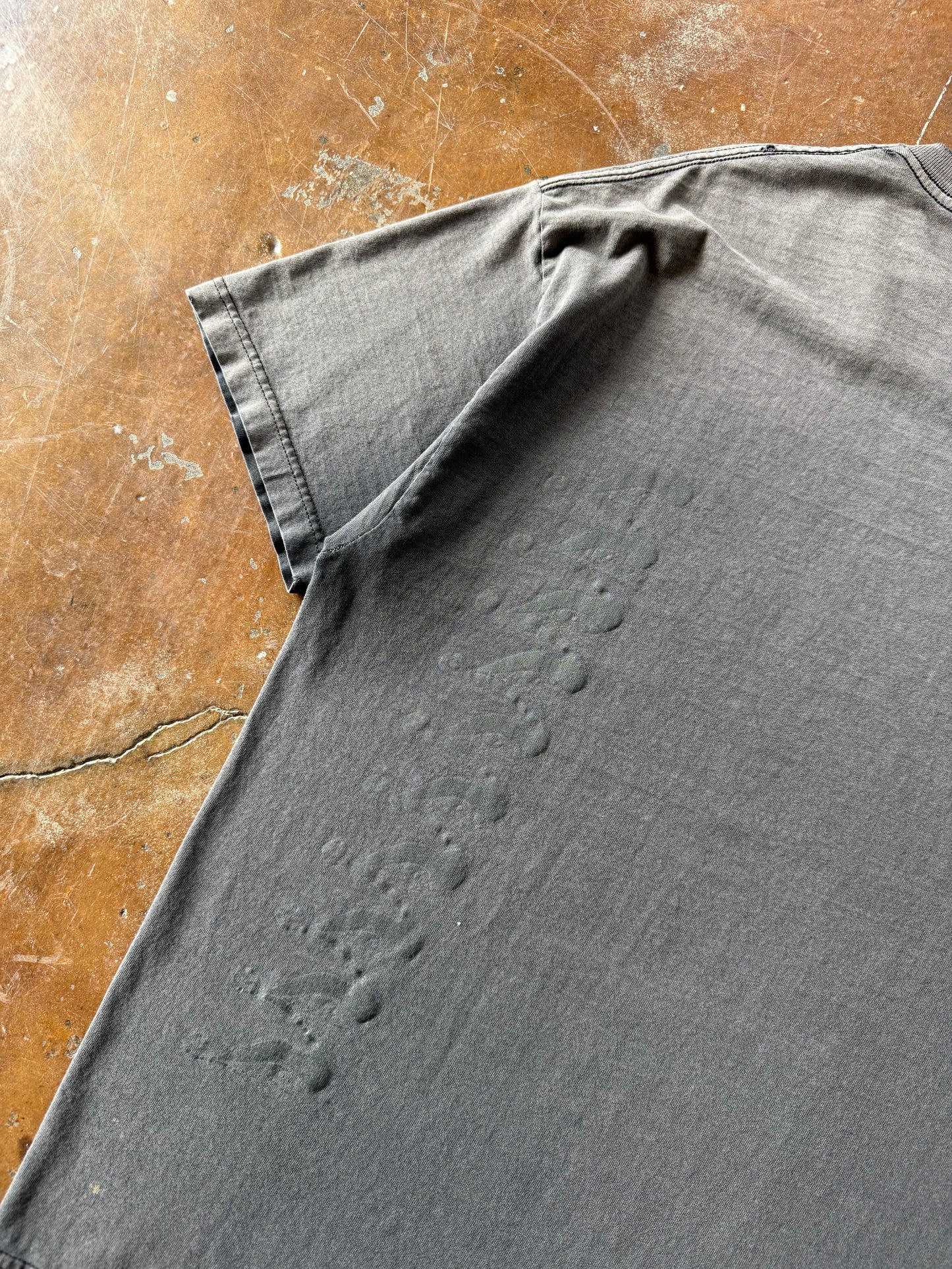 2001 faded Tool band shirt (XL)