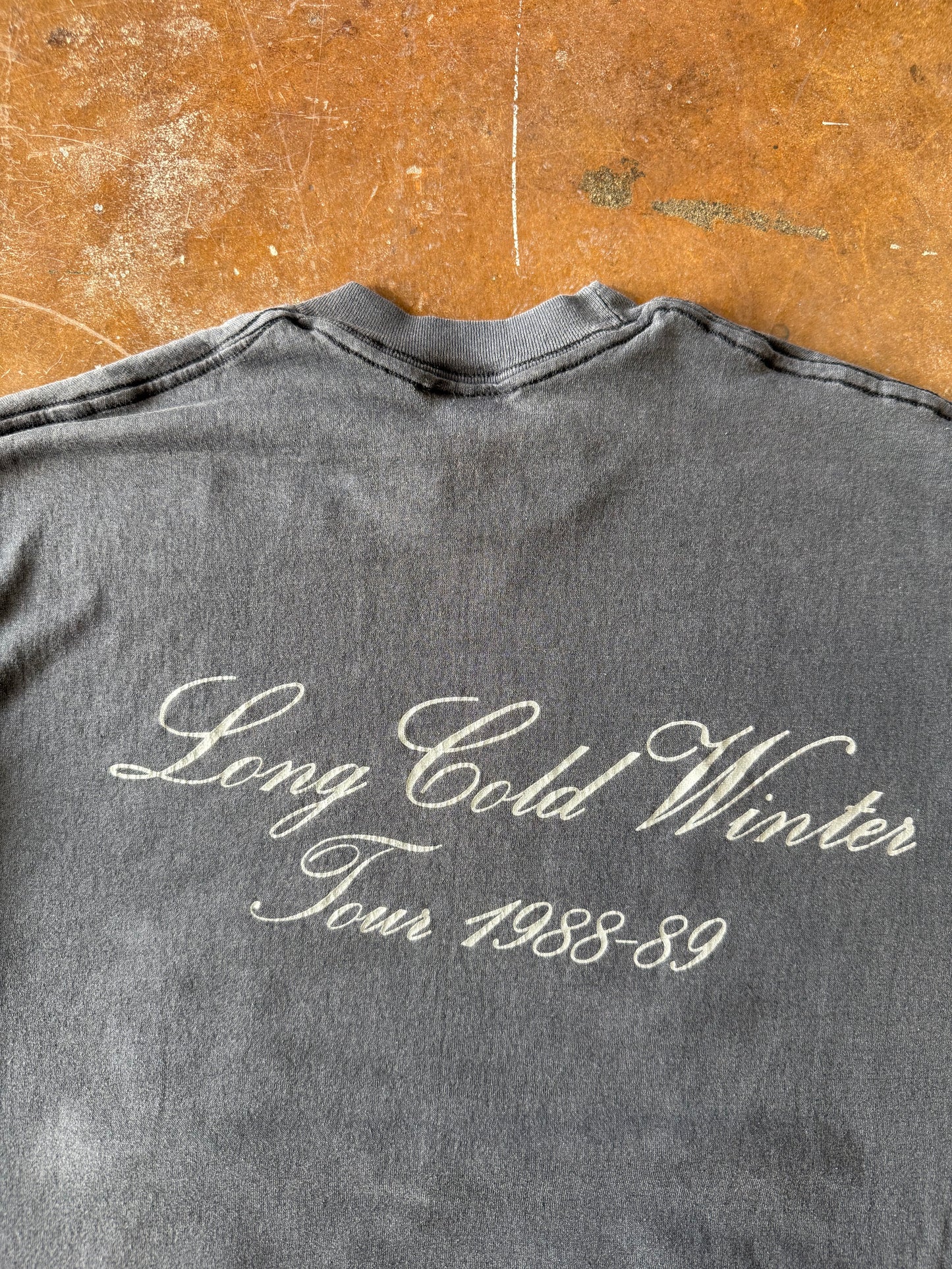 1989 Cinderella "long cold winter" band shirt (LARGE)