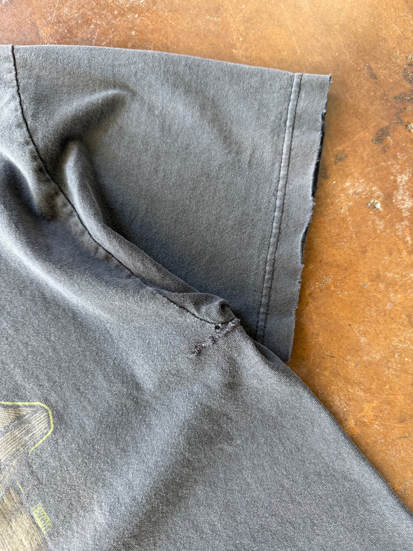 2001 faded Disturbed band shirt (XL)