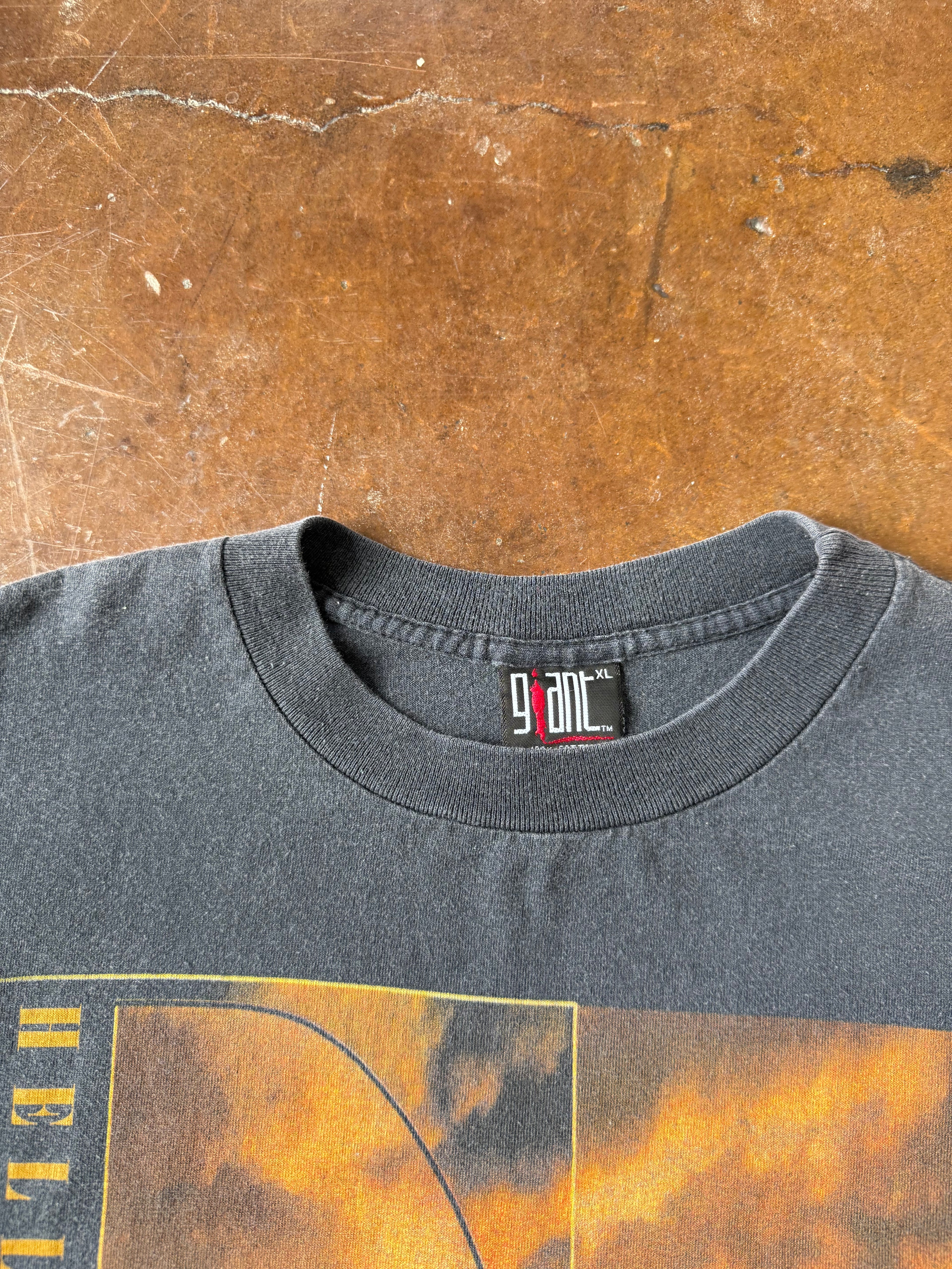 1995 Eagles "hell freezes over" band shirt (XL)