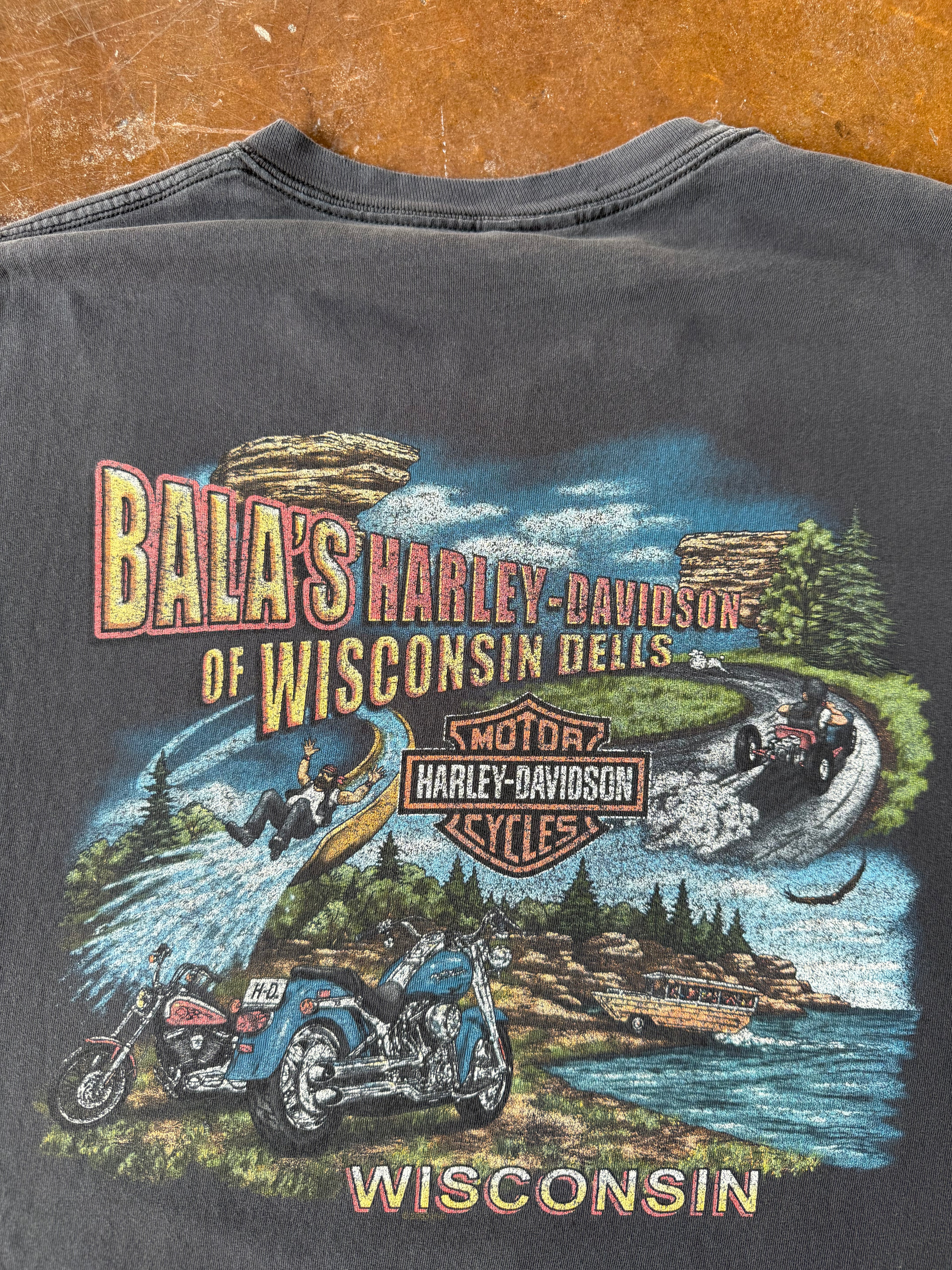 2000s Harley Davidson "pin-up girl" biker shirt (XL)