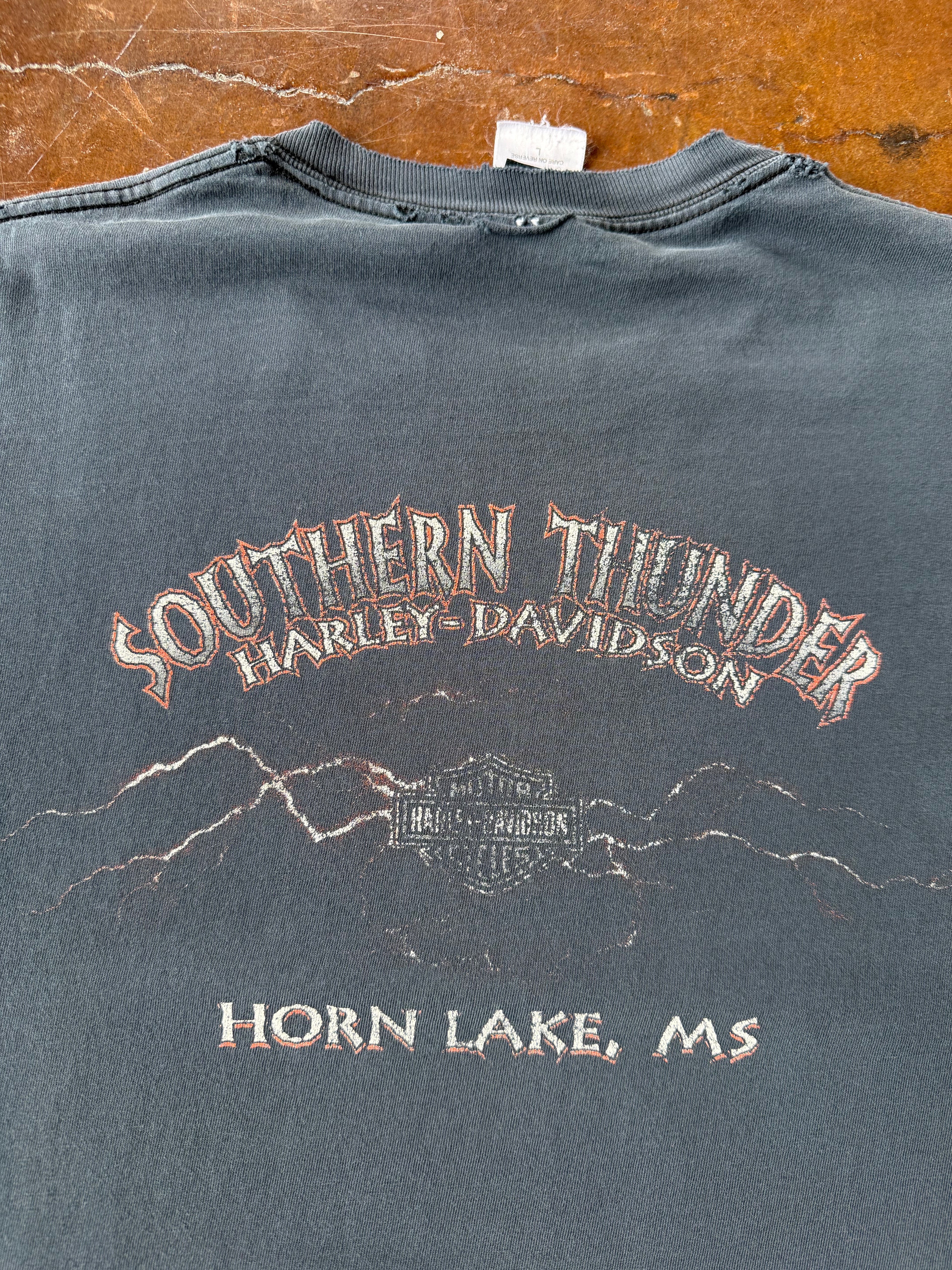 2000s faded Harley Davidson "flame emblem" longsleeve shirt (LARGE)
