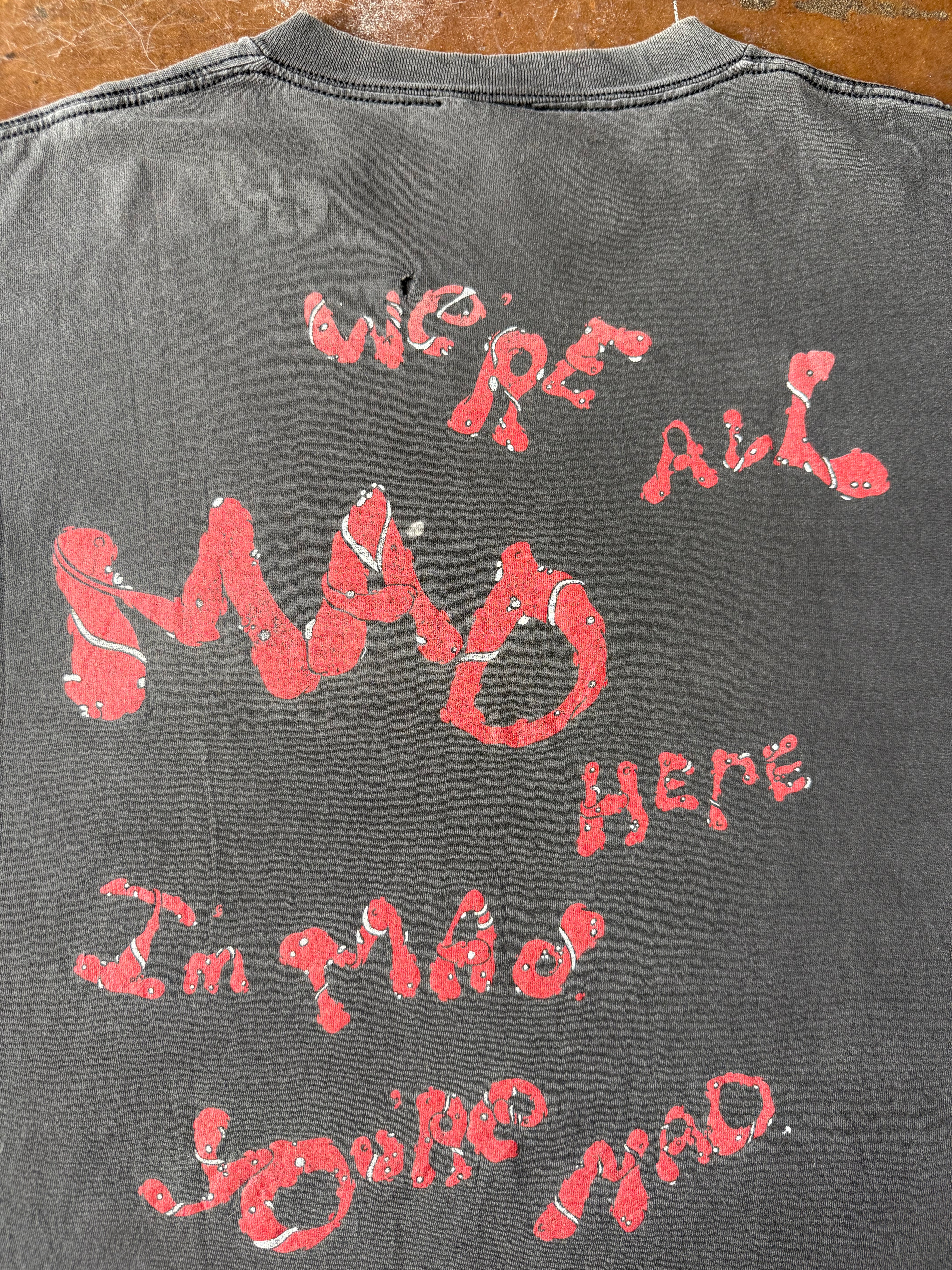 90s lightly faded Alice in Wonderland "cheshire cat" shirt (XL)