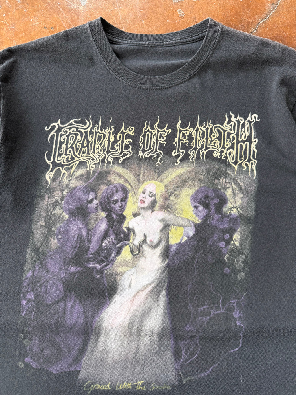 2000s Cradle of Filth "twelfth disciple" band shirt (LARGE)