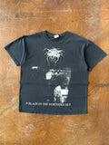 2000s Dark Throne "a blaze in the northern sky" band shirt (LARGE)