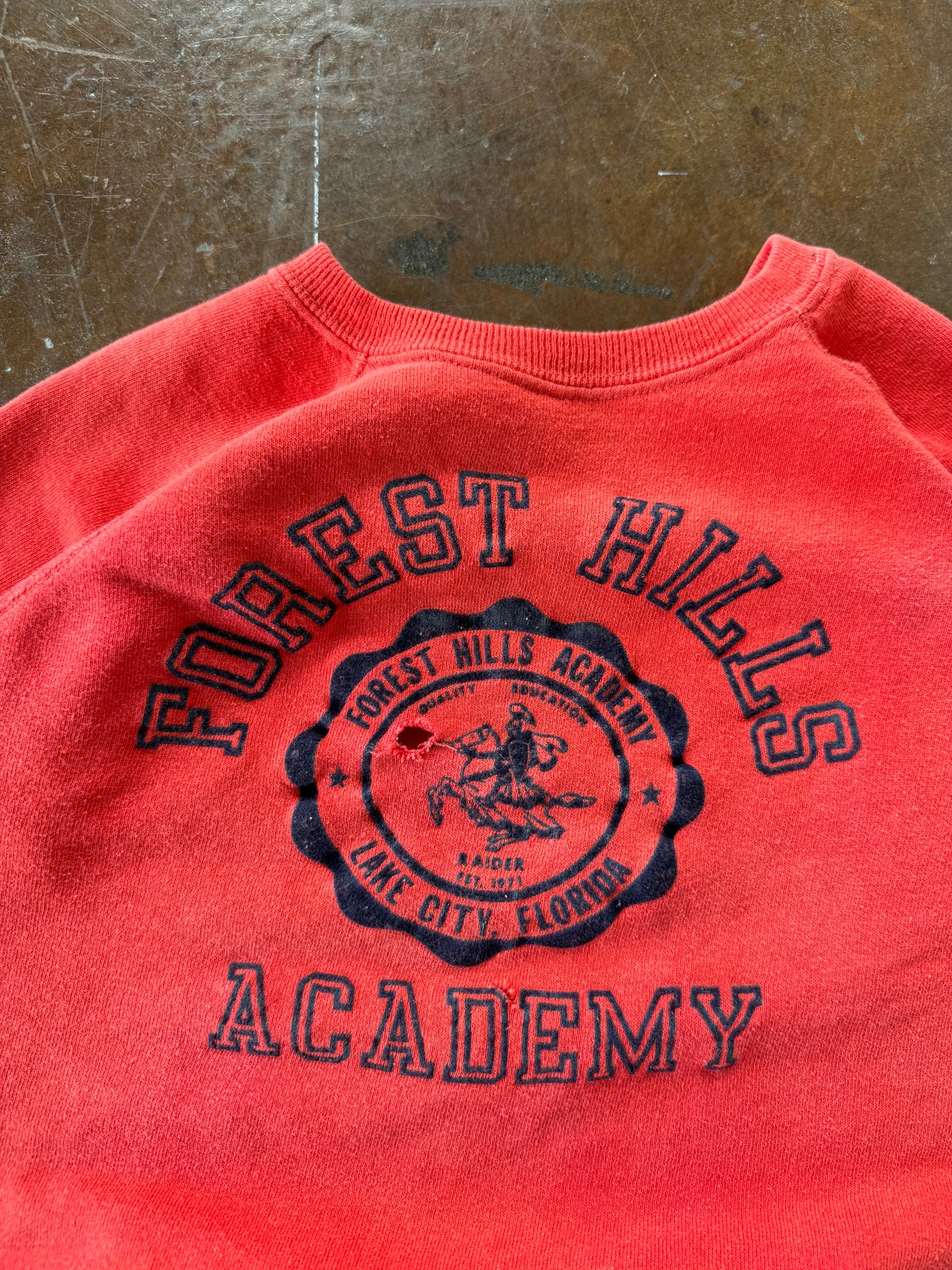 70s Flock Print "forest hills academy" sweatshirt (MEDIUM)