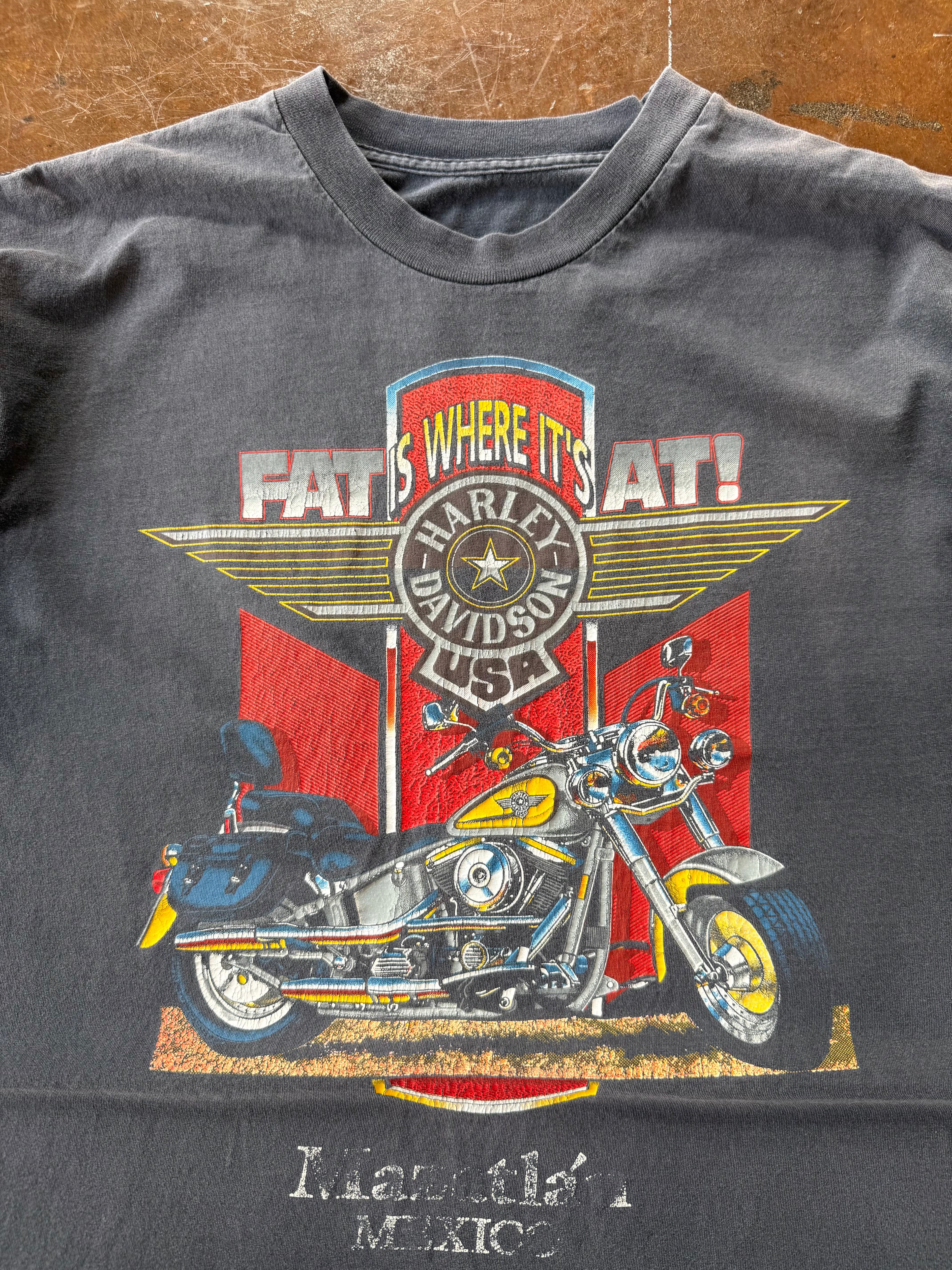 90s faded Harley Davidson "fat's where it's at!" biker shirt (LARGE)
