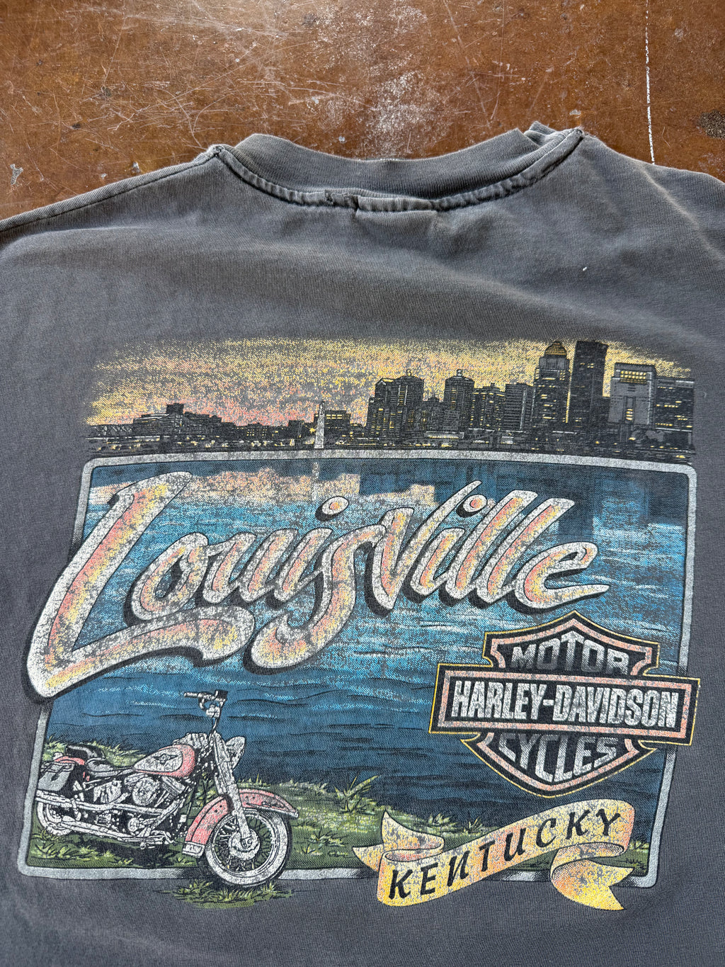 90s faded Harley Davidson "collector's edition" biker shirt (LARGE)