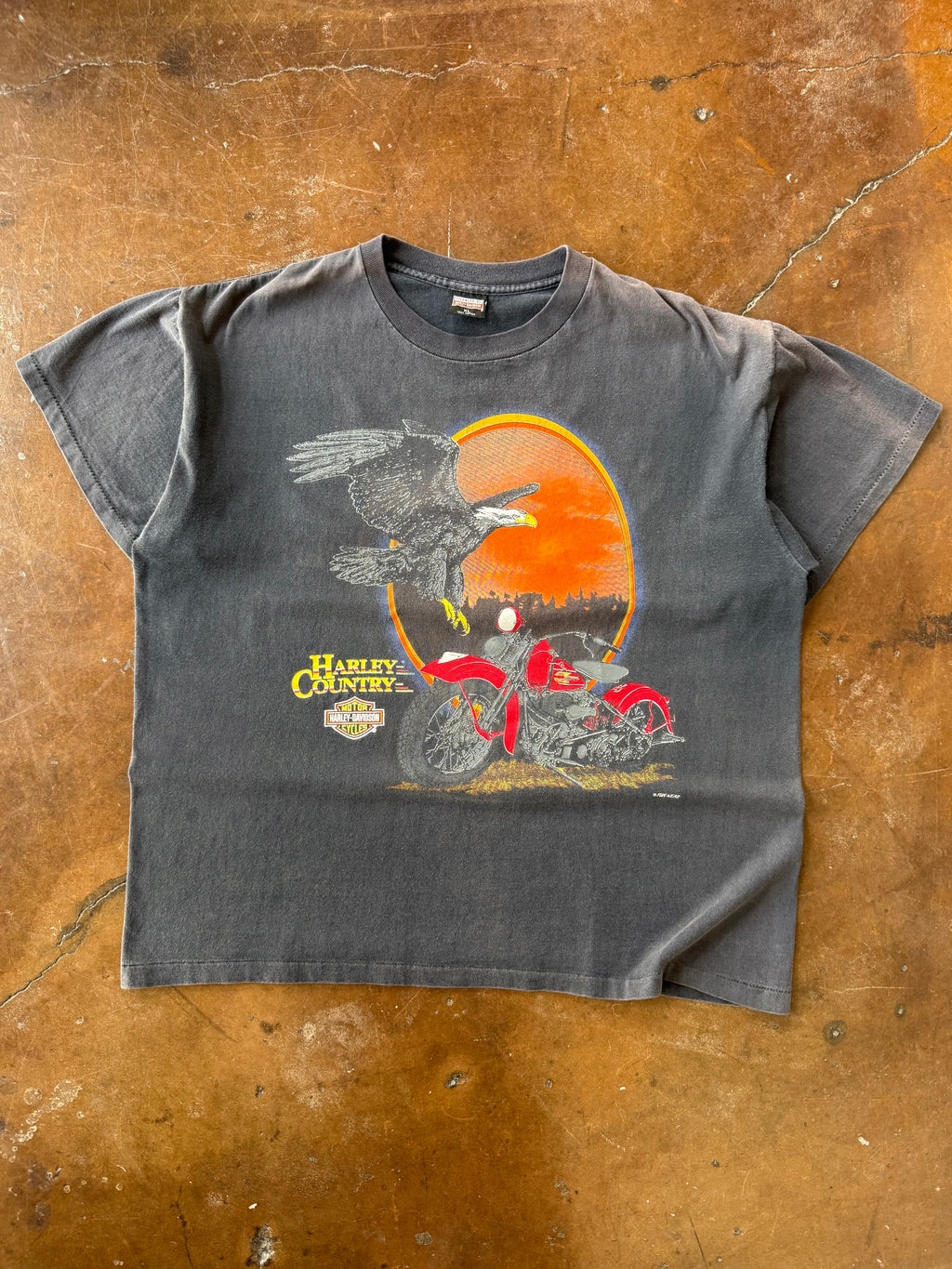 90s lightly faded Harley Davidson "eagle sunset" biker shirt (XL)