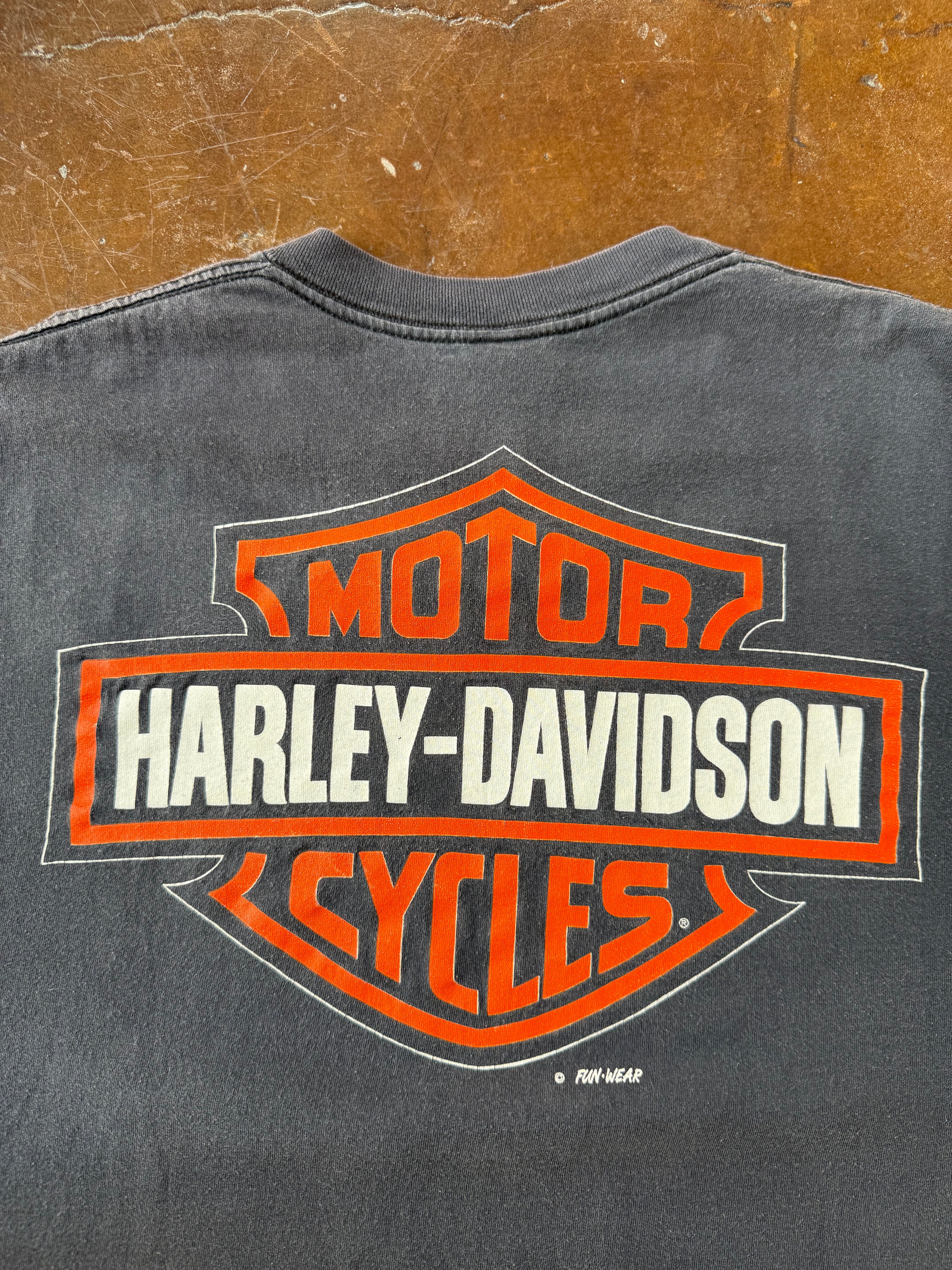 90s lightly faded Harley Davidson "eagle sunset" biker shirt (XL)