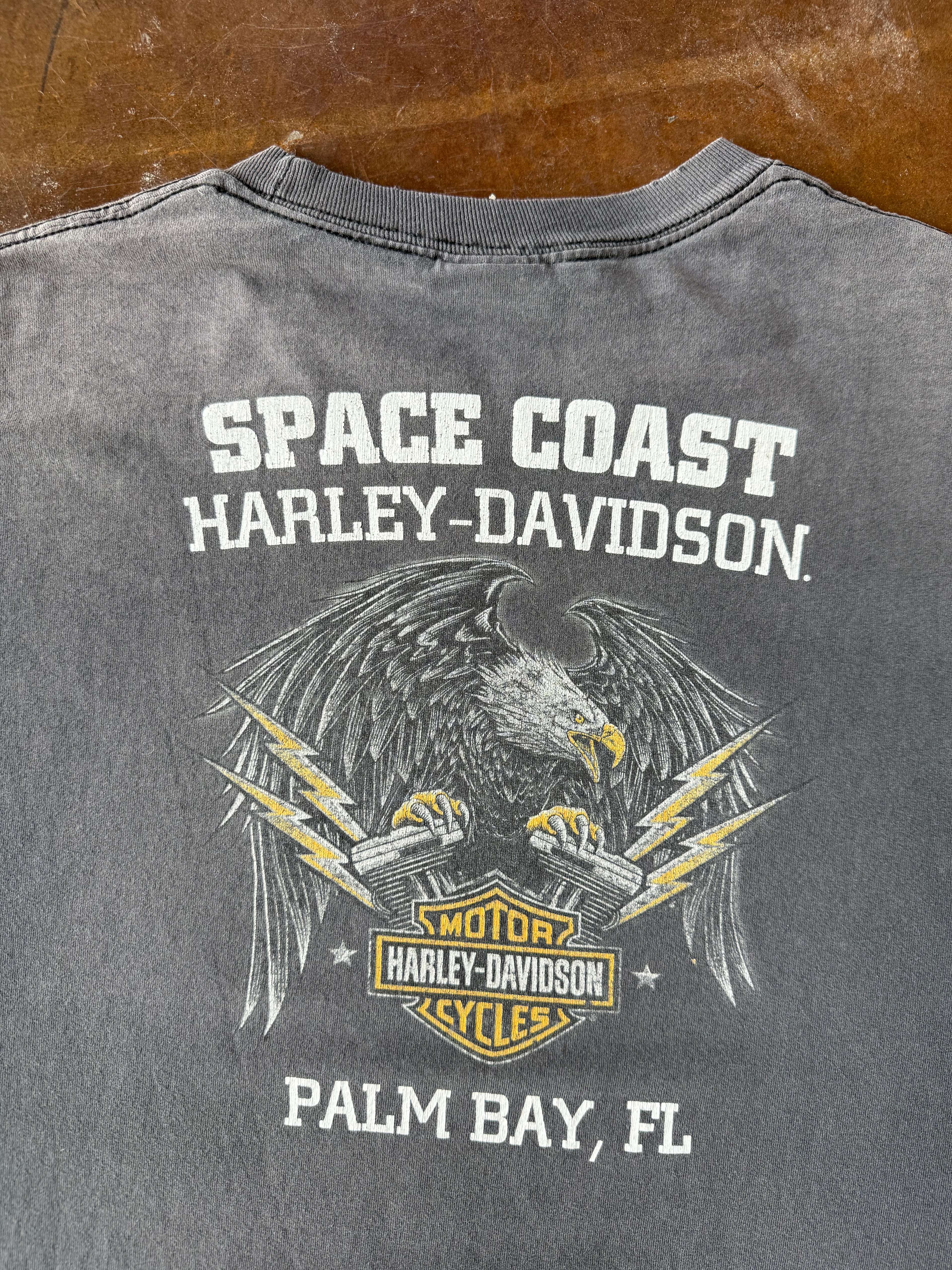 2000s faded Harley Davidson "flame skull" longsleeve shirt (XL)