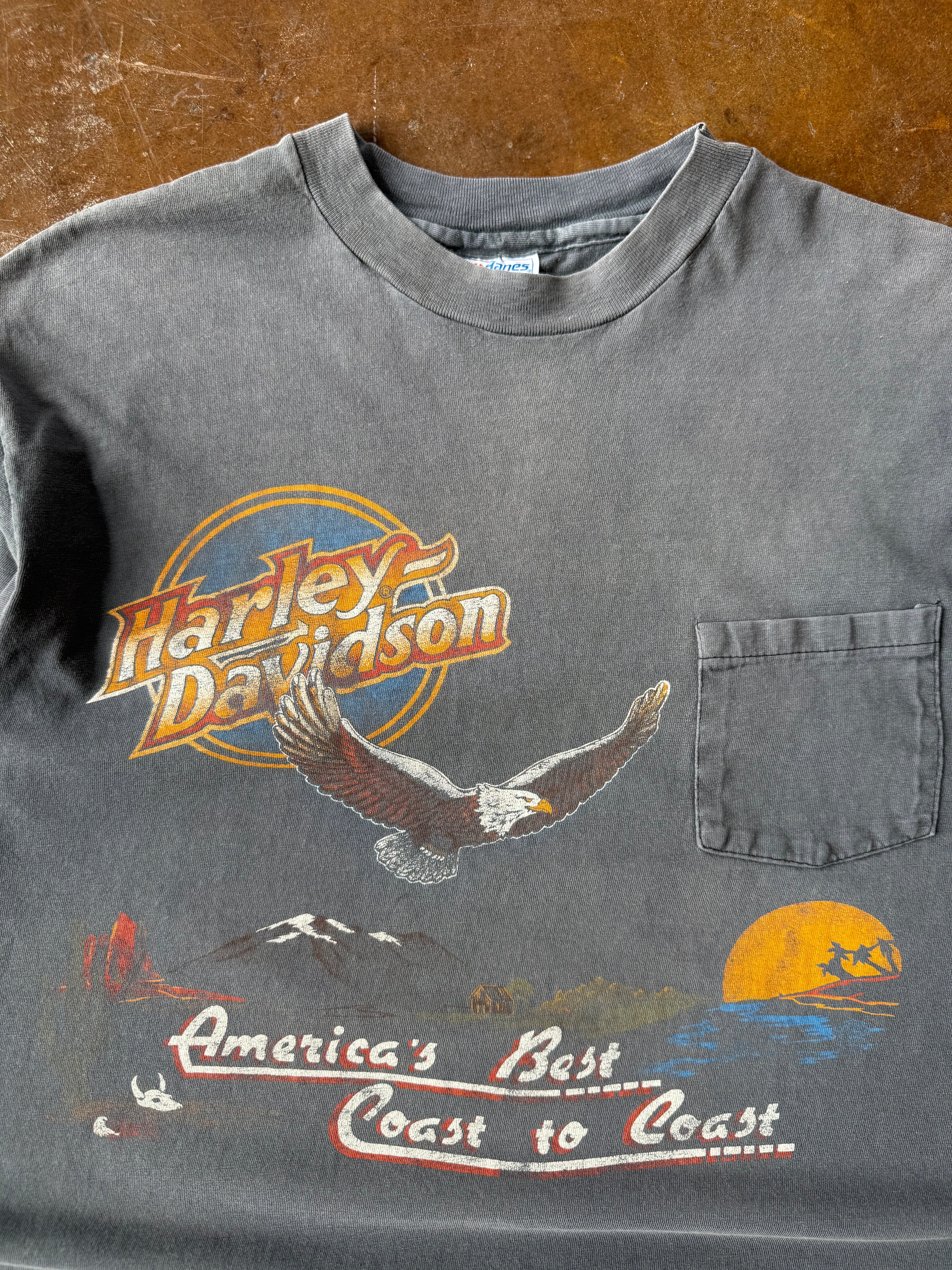 80s faded Harley Davidson "eagle portrait scene" pocket shirt (XL)