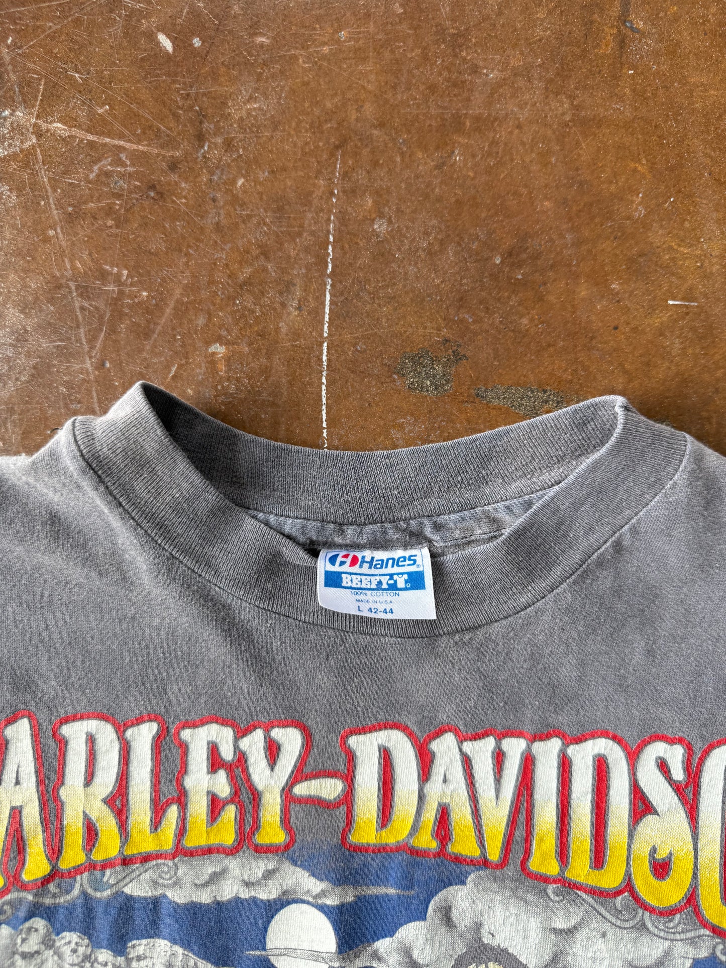 80s faded Harley Davidson "sturgis rendezvous" biker shirt (LARGE)