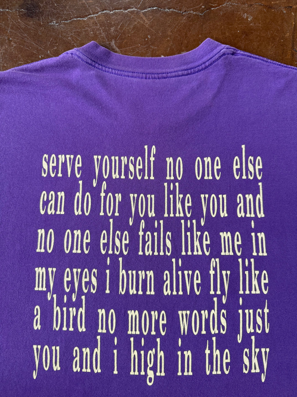 1992 Smashing Pumpkins "starla" band shirt (XL)