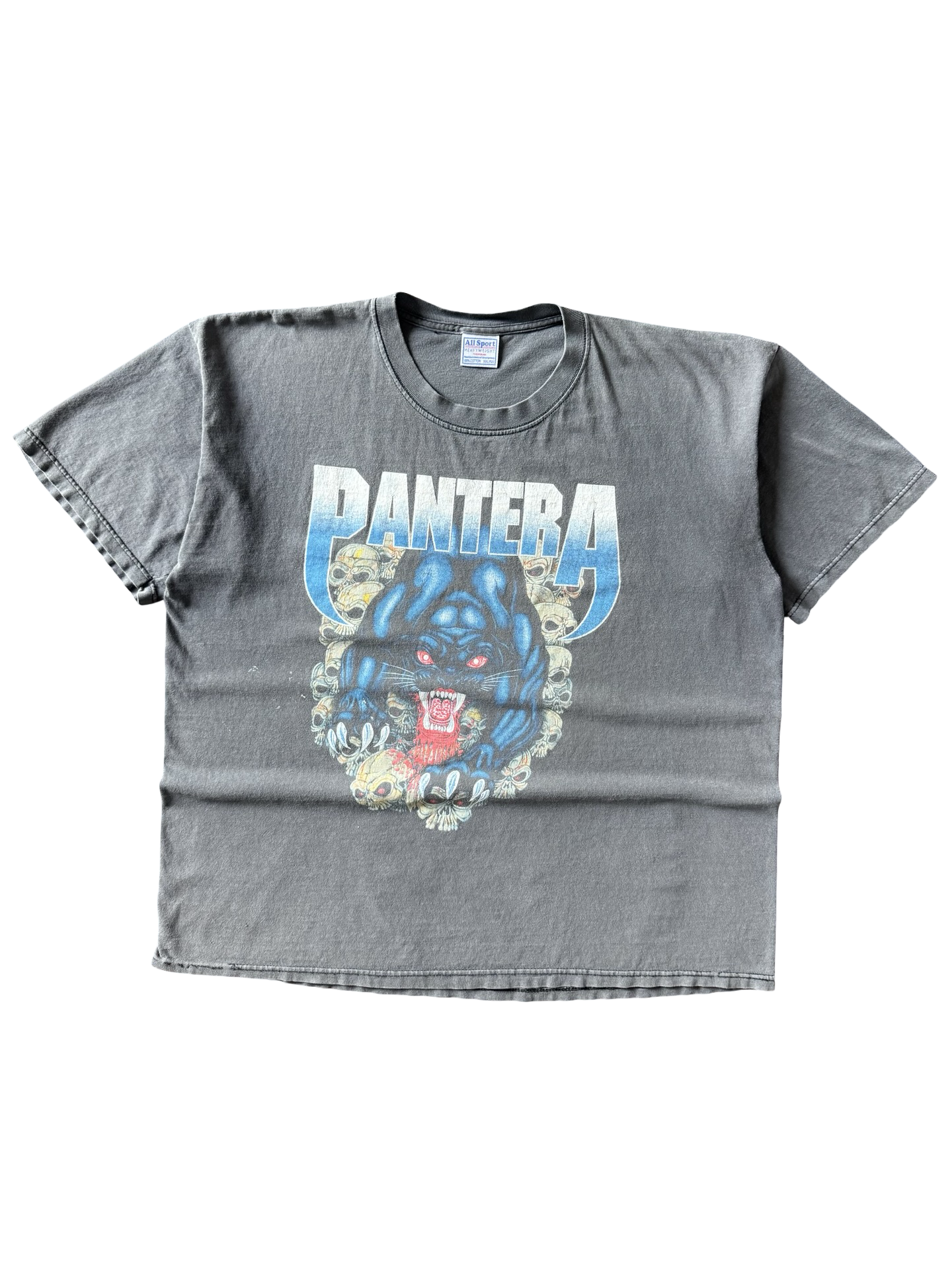 2002 faded Pantera "Skull Panther" band shirt