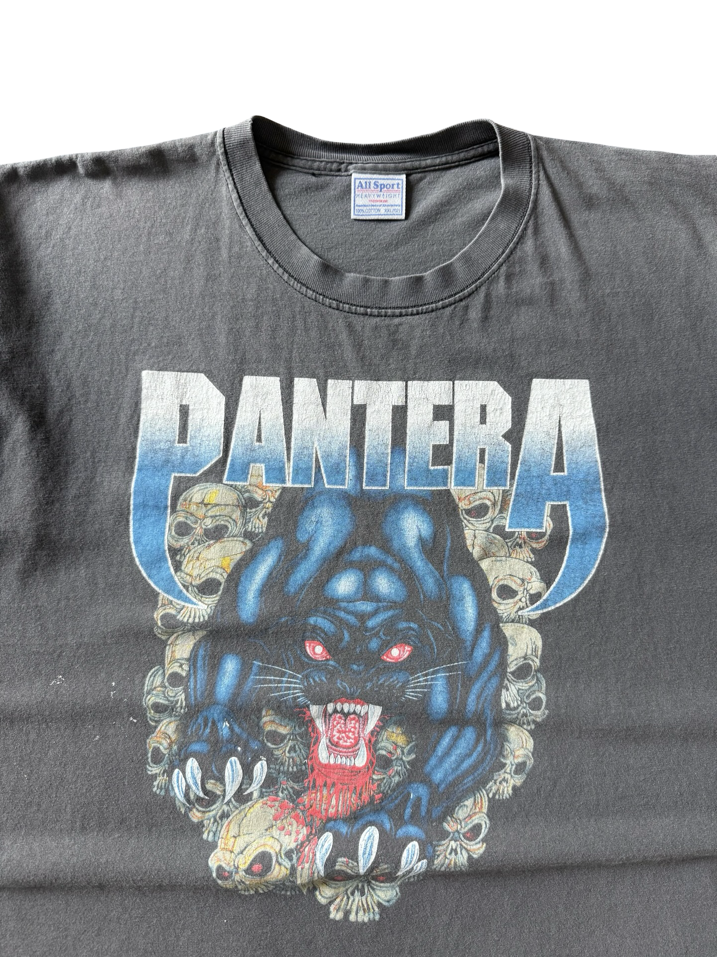 2002 faded Pantera "Skull Panther" band shirt
